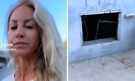 California woman finds ‘whole a–‘ man occupying crawlspace underneath her house ‘for months’